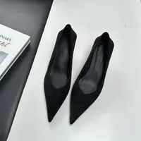 Bailamos 2024 Autumn Pointed Toe Women Sexy Shallow Slip On Pumps Shoes Fashion Thin High Heel Ladies Elegant Dress Shoes Mujer - Image 6
