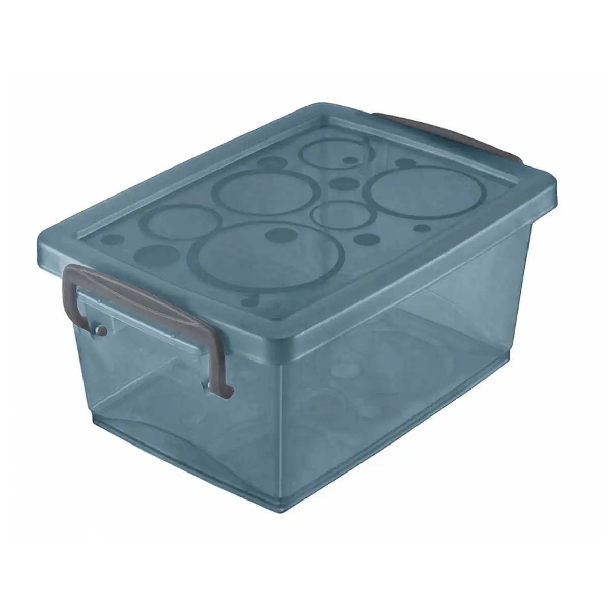 1.5L Crystal Sort Small Organizer Box with Lock - AliExpress