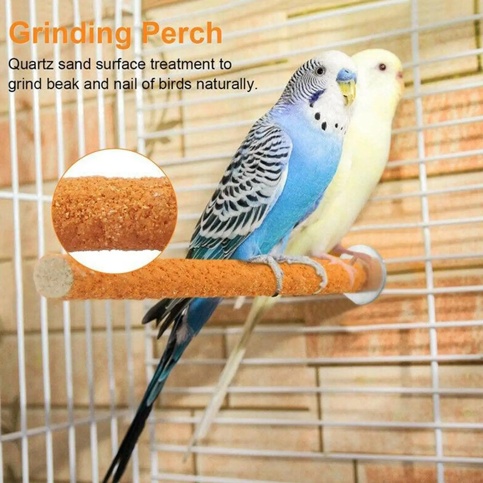 Bird Toy Bird Perch Stand Parrot Toy 1pc