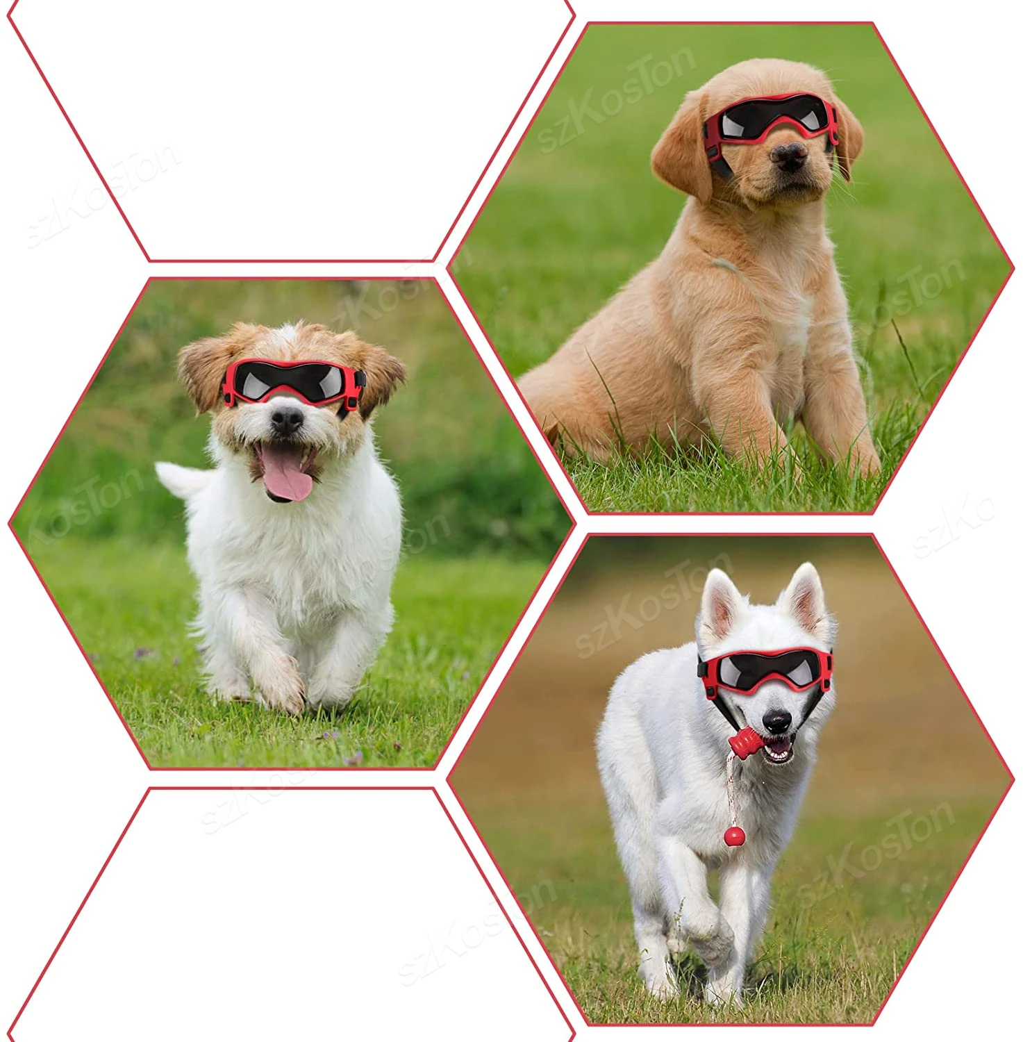 Dog goggles image 7