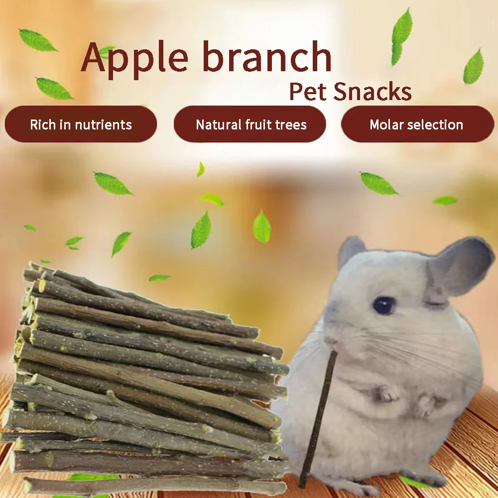 Apple Molar Stick 1
