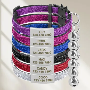 Custom Engraved Glitter Cat Collar 1