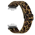 36-Brown-cheetah