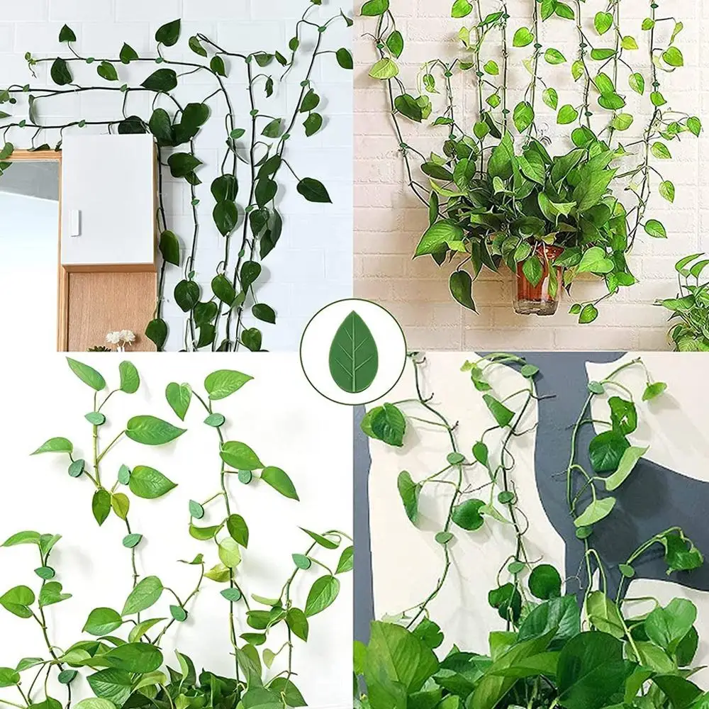 10/50 PCS Plant Climbing Wall Fixture Rattan Vine Bracket Fixed Buckle Leaf Clips Traction Holder Plant Fixing Clip Garden Tool