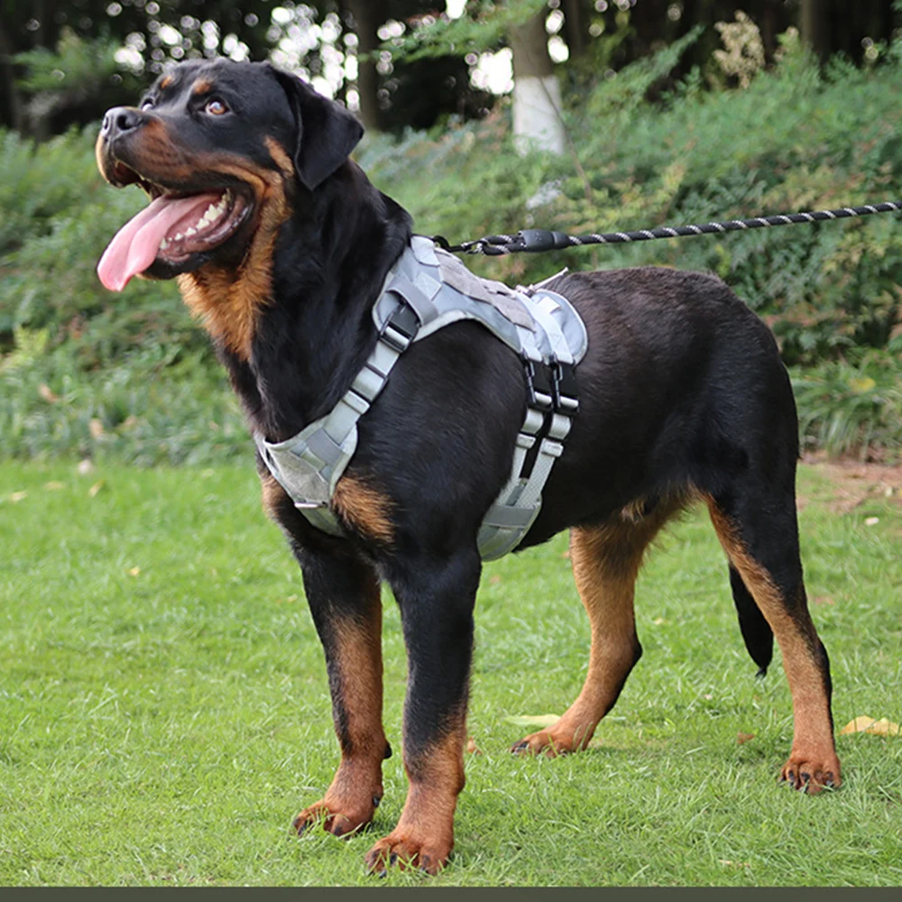 Rottweiler Big Dogs Tactical Harness - bestproductone