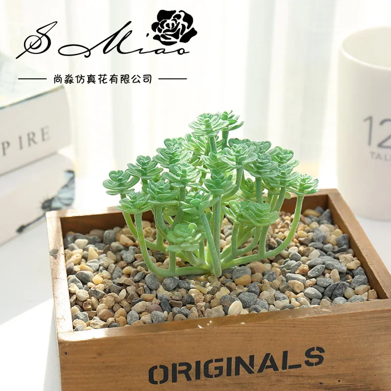 Lush Green Succulent Cactus Decorative Accessory