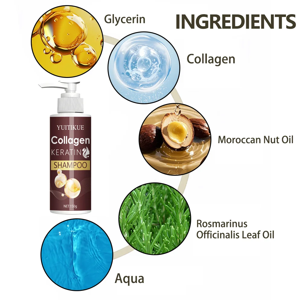 Argan Oil Shampoo - for dry hair use, oil control formula, soft shine and light texture, hair vitality, shampoo essentials