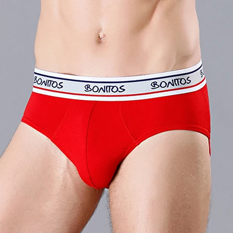 Men's Briefs Underpants Cotton Comfort Underwear Man Homme Panties Sexy Male Boxer Shorts High Quality Slip Boxershorts saxx briefs Briefs