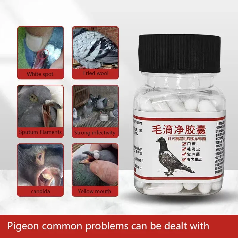Pigeon nutritional supplement capsule type 80 capsules mouth yellow mouth white spot respiratory tract Pet Nutrition Supplement Pigeon Pox Medicine