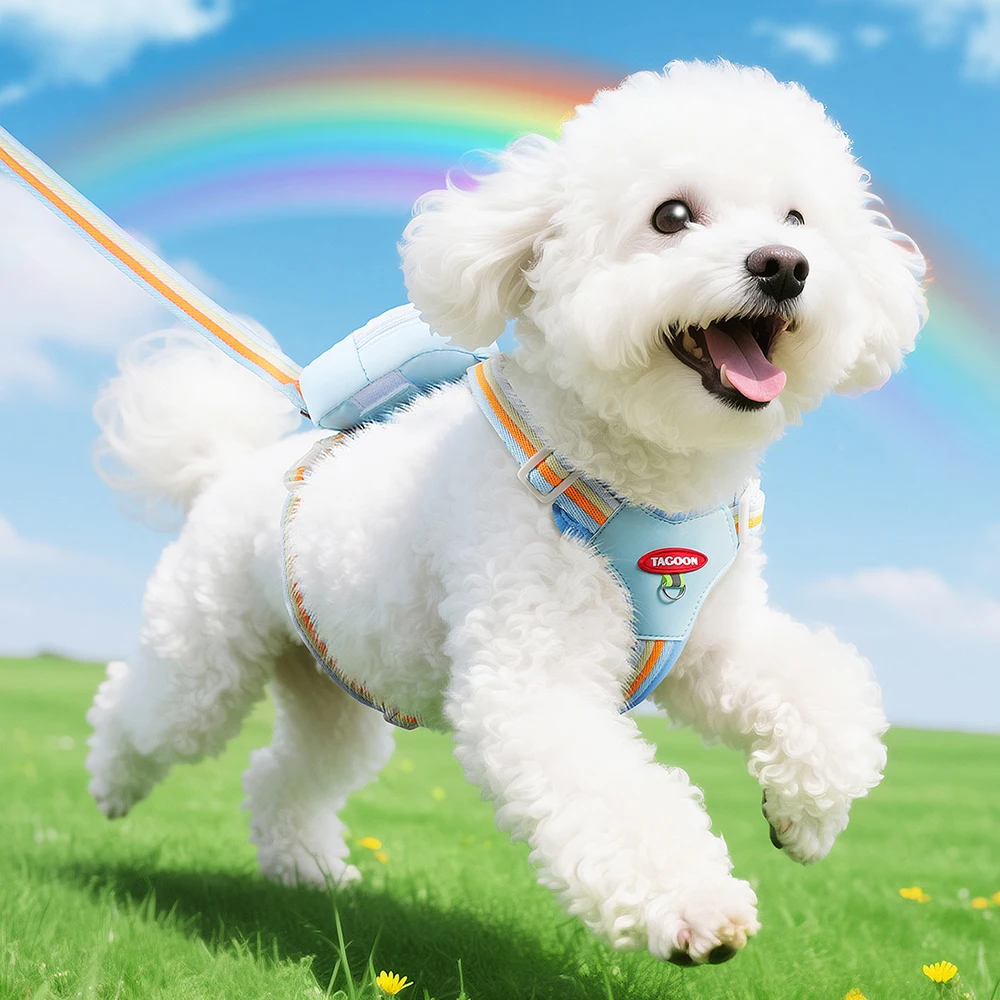 Regenbogen Reflektierendes Hundegeschirr Mit Leine Und Rucksack_voghion.com