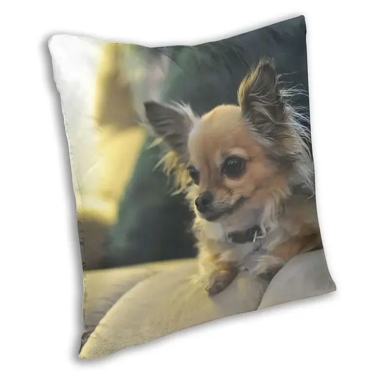 

Nordic Style Long Haired Chihuahua Throw Pillow Cover Decoration Square Dog Animal Pattern Cushion Cover 40x40 Pillowcover