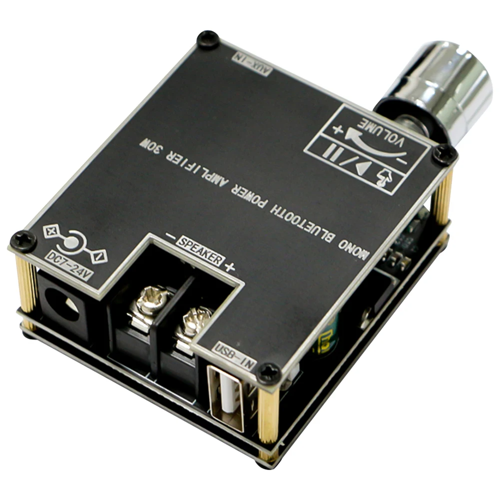 Carte Ampli Audio ZK-301B Mono 30W - Bluetooth 5.3 - Alimentation DC 9-24V - Neuf