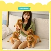 23/28CM Simulated Lion Plush Pillow Filling Toy for Children Cute Creative Soft Cotton Plush Stuffed Doll Lion Boy Girl Toy Gift 6