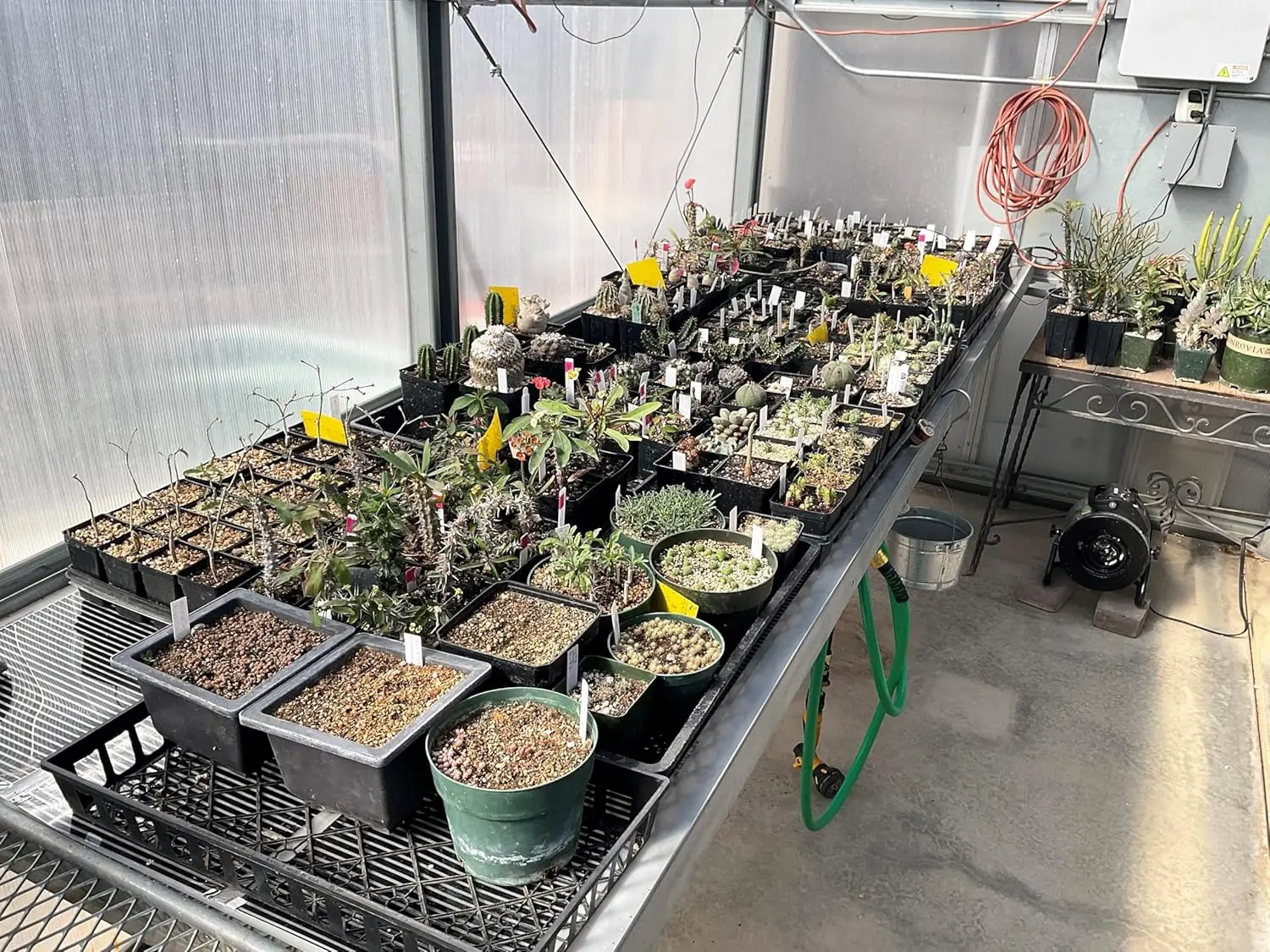 Propagation Heat Mat, Spill Proof Seedling Pad, Heated Film Technology, Plant Germination System, Durable Made in USA,