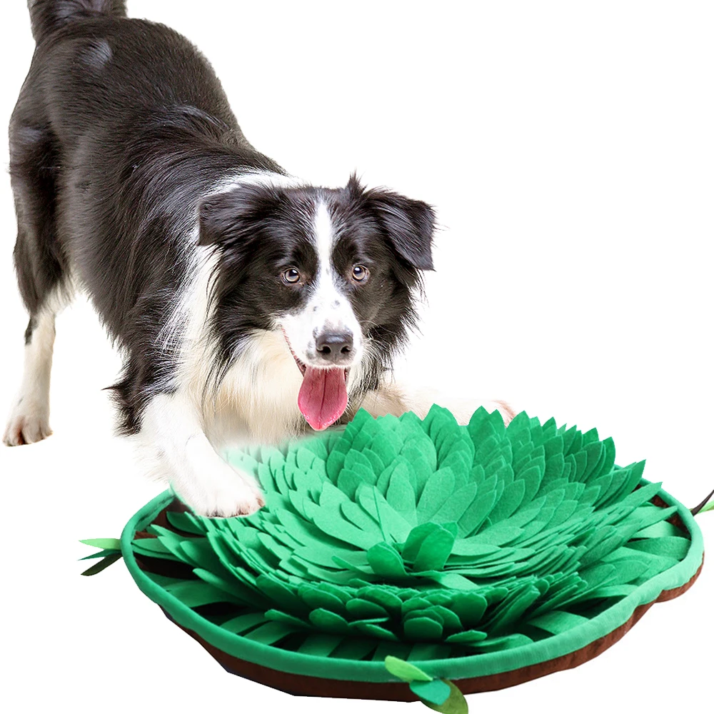 Pet Dog Snuffle Mat Nose Smell Training Sniffing Pad Dog Puzzle
