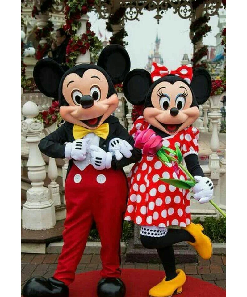 Costumes Mickey & Minnie Mouse Disney - Duo Iconique Magique