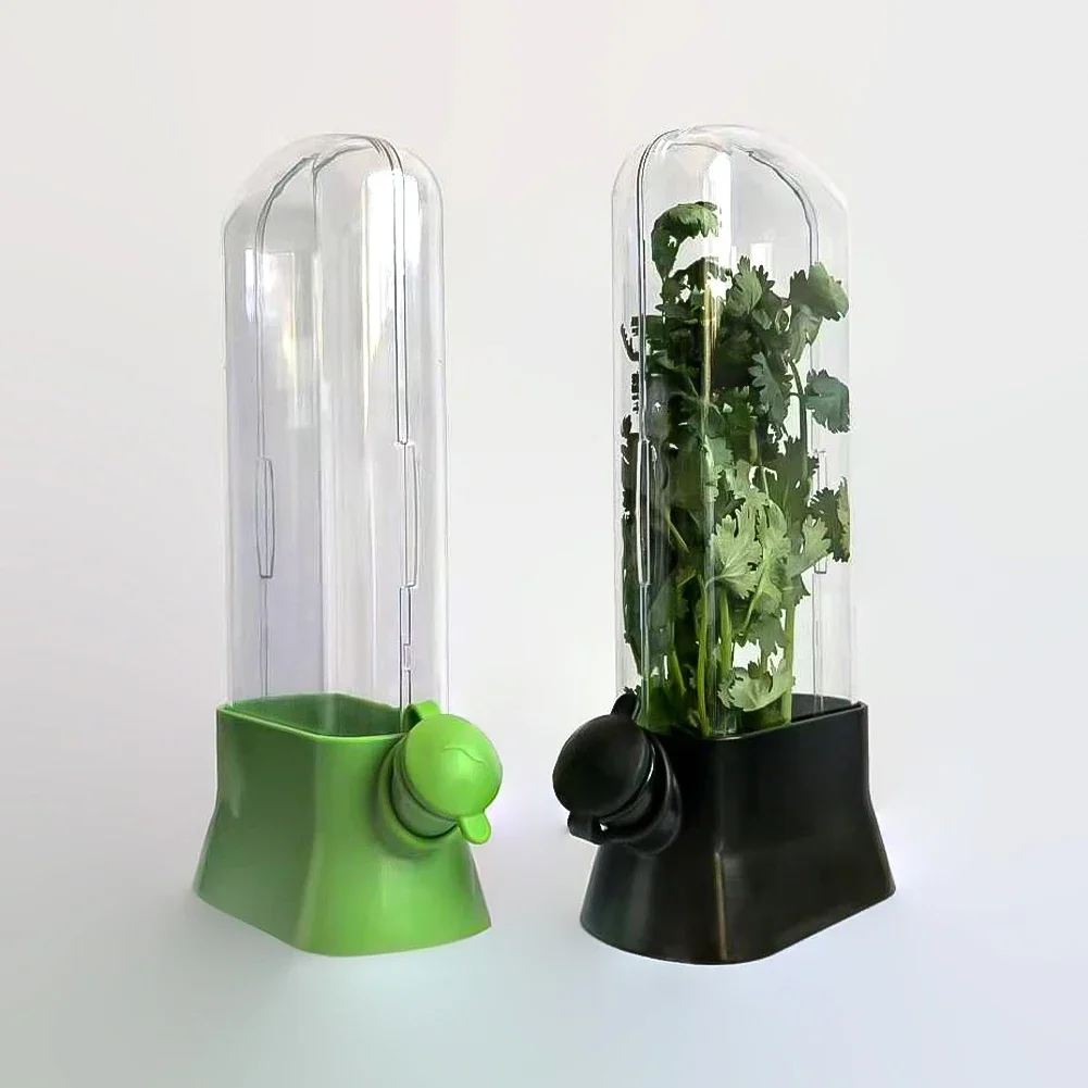 Cross-border Vanilla Vegetable Fresh-keeping Box Dust-proof Anti-pressure Environmental Protection Fresh-keeping Device Creative
