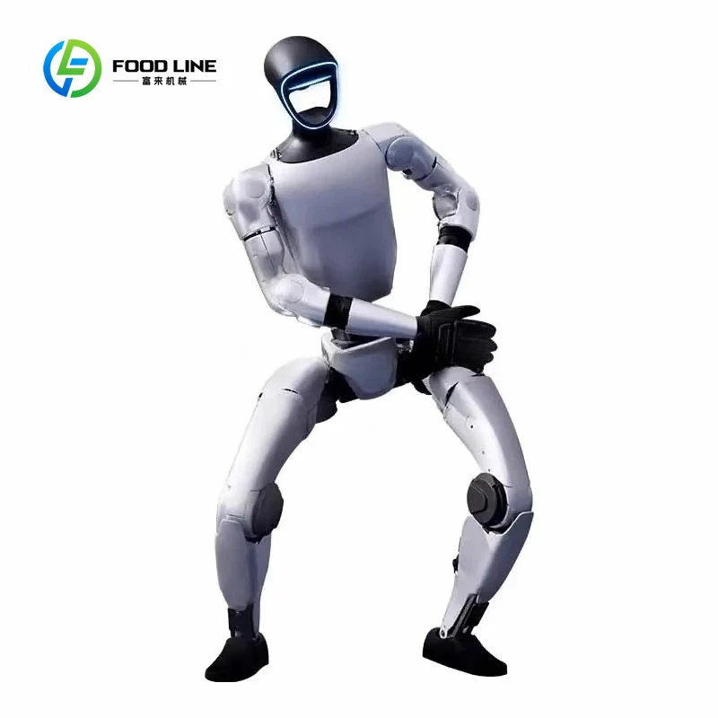 Robot Umanoide Intelligente Integrato Personalizzato Cinese, Robot AI per Assistenza Domestica, Robot Industriale per Fabbriche - immagine 6