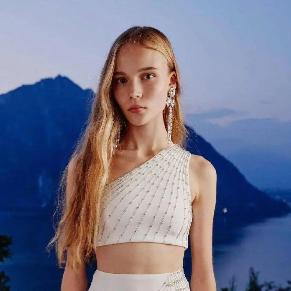 Earrings Light Luxury Vintage Bow Fringe Long Ear Clips For Women Aretes De Mujer Pendientes Boucle D’Oreille Orecchini Clip De