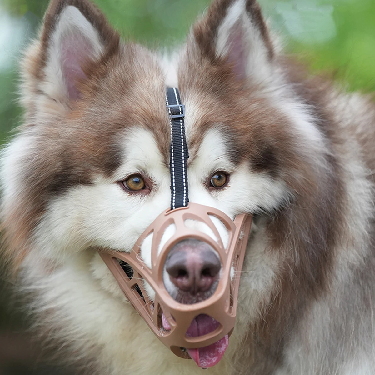 Dog Muzzle 1pc Dog Muzzle Anti-licking Anti-biting Anti-eating Breathable Adjustable For Drinking Eating Reflective