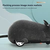 Creative Four-Way Simulation Remote Control Mouse Electric Mouse Cat Toy Pet Interactive New Peculiar Prank Toy Children'S Toy 3