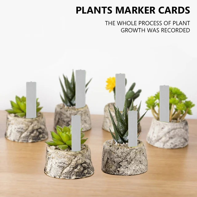 50/100 Db Növényi Címkék Tétek Óvodai Jelölők Virágcserepek Palánta Kerti Vetőfajták Növénynév Címke - Image 2