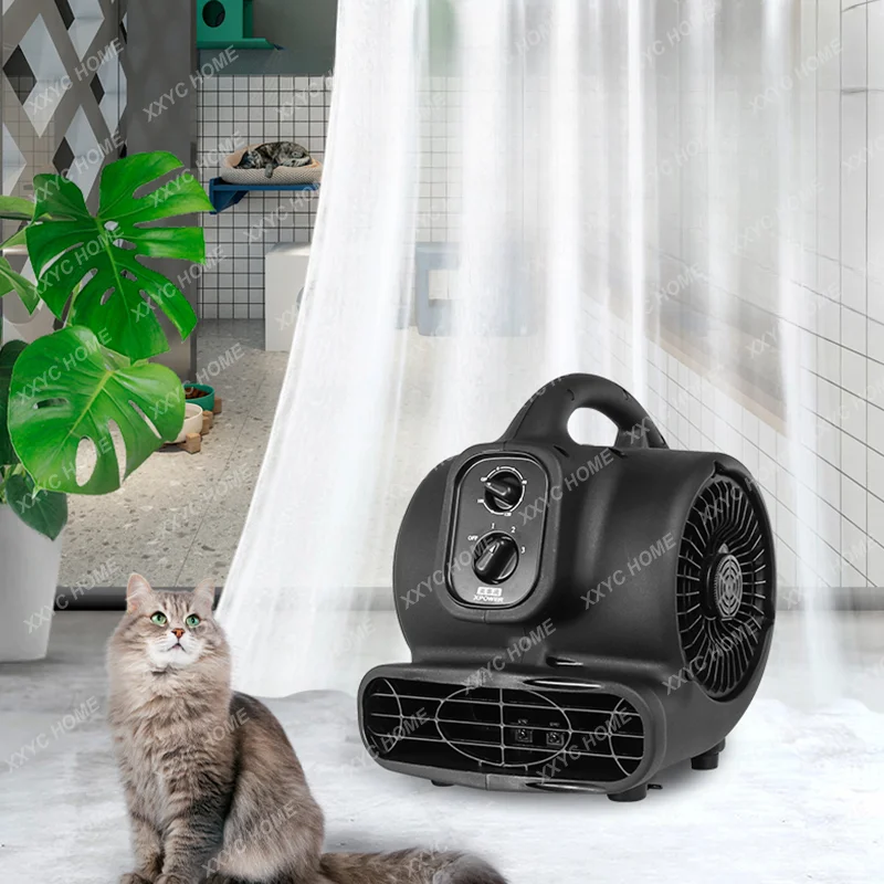 

Pet Fragrance Fan Aromatic Beads Pet Shop Deodorant Deodorant Fragrance Purification Anion Cat Dryer