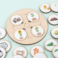 Life Cycle Board Montessori Kit Biology Science Education Toys For Kids Sensory Tray Animal Figure Life Cycle Sorting Wooden Toy 1