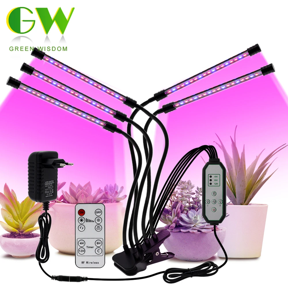 Led Phyto Lamp Indoor Plants | Indoor Led Lights Plants | Plant Lamp Full  Spectrum 12v - Growing Lamps - Aliexpress