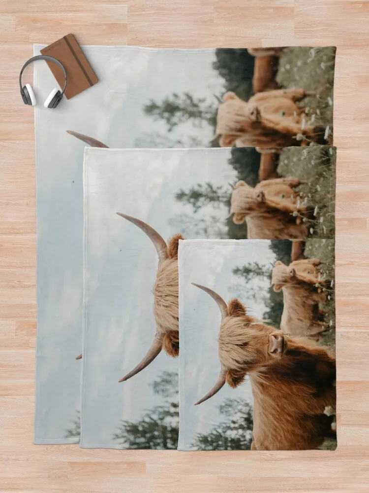 ȣ��� ���� ���̷��� �ϼ� ������ ���, ��Ƽ�� ����, ���ſ� ħ�� ���� ���� ���