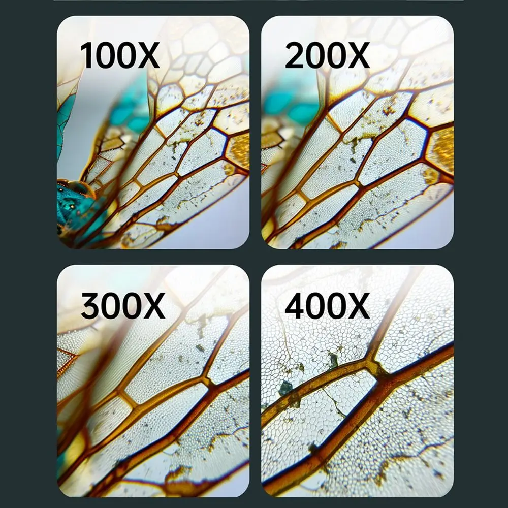 Microscopio Digitale per Bambini con Schermo IPS da 2 Pollici, Microscopio Portatile HD per Bambini, Microscopio Tascabile con Zoom 500x - immagine 4