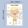 2 PCS English Body Parts Big Card  Early Education for Children Learning Materials Teaching Aids Classroom Wall Decoration 3