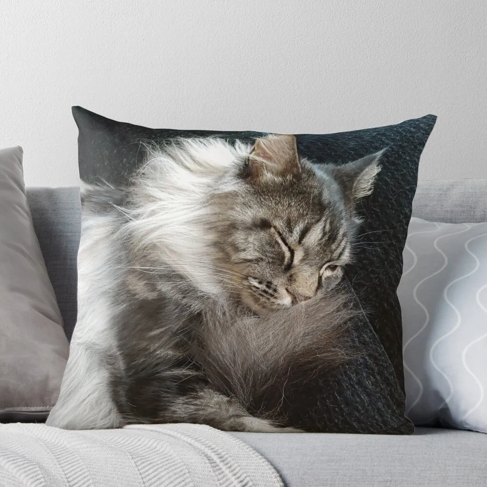 

Maine Coon Cat Throw Pillow Cushions Christmas Cushion For Home