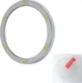 Silver Green