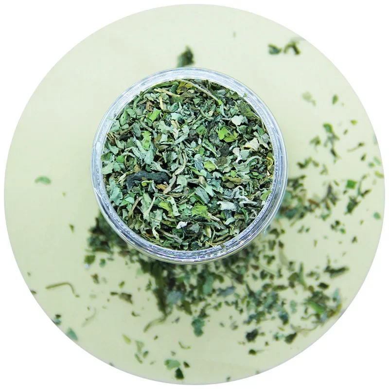 Organic 100% Natural High Quality Catnip Cattle Grass Mint Taste Funny Cat Toy New Cat Toy Interactive Cat Toys Pet Supplies 2