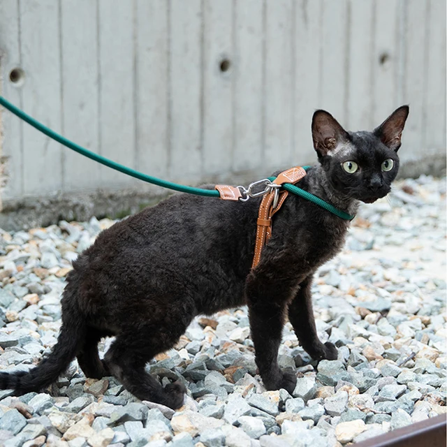 Adjustable Cat Chest Harness Set With Adjustable X-shaped Anti Slip Cat Traction Rope And Cat Walking Rope Walking Leash Set 3