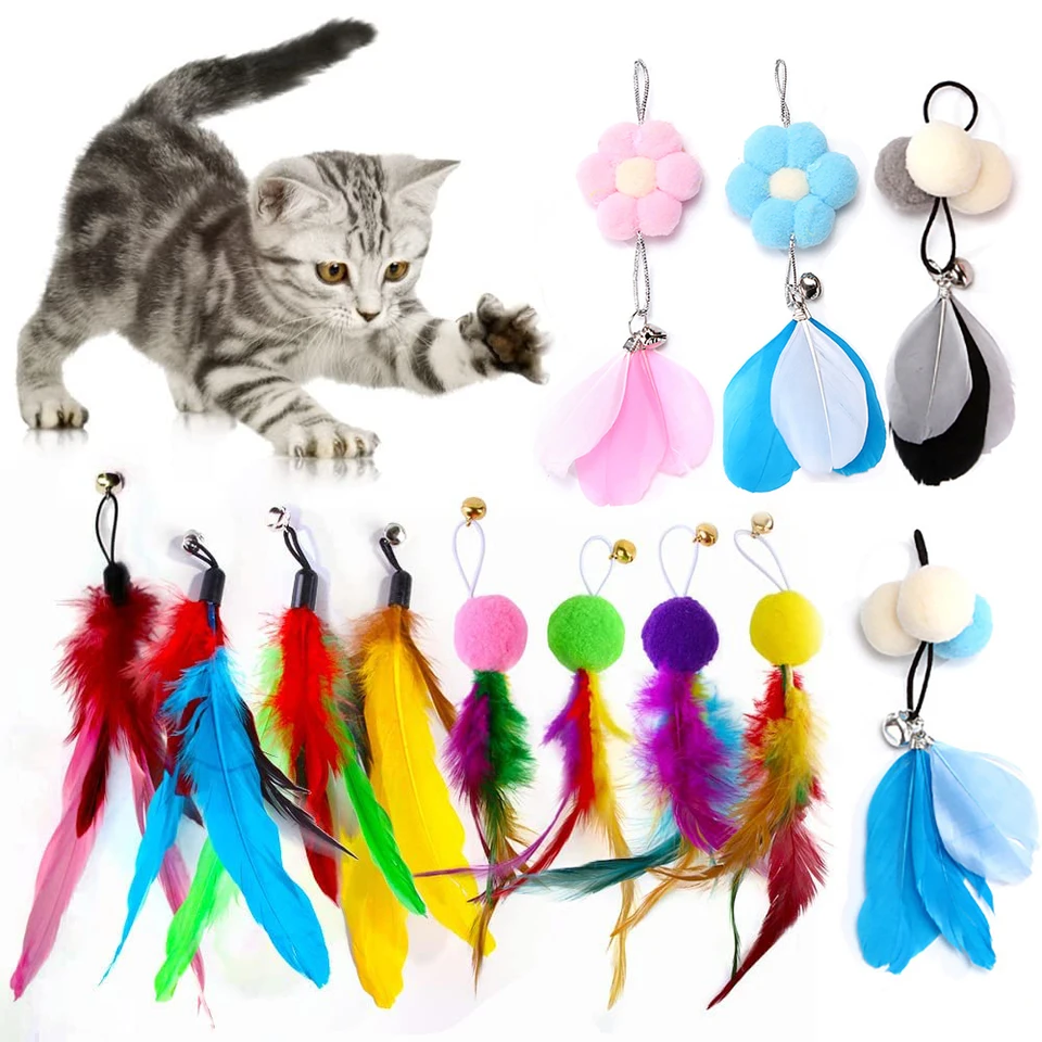 Cat Wand Toy Refills Cat Feather Toys Accessories for Cat Fishing Pole  Assorted Teaser Refills with Bell for Indoor Kitten Toys - AliExpress