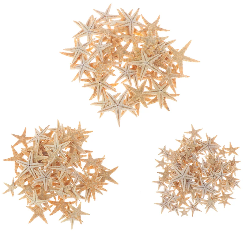 100pcs Mini Starfish Sea shells 0.5-3cm Craft Decoration Natural Sea Stars natural shell ornaments resin starfish ornaments