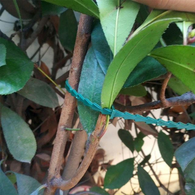 100 db Kerti Kábelkötegek Újrahasznosítható Virághuzal-Zöld Önzáró Állítható Multifunkcionális Reteszelő Növényi Kiegészítők - Image 3