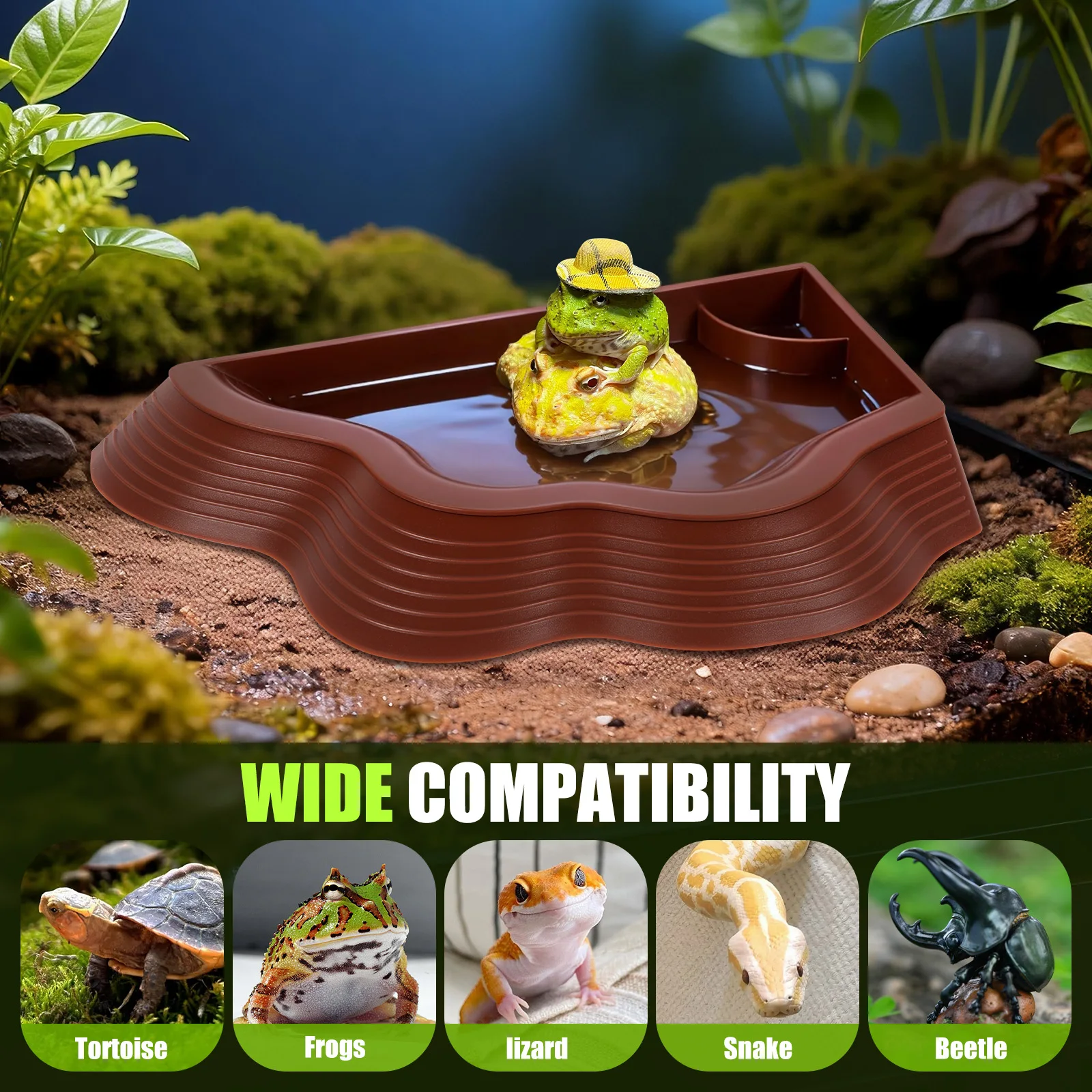3Pcs Tortoise Water Dish Set Plastic Reptile Water Bowls with Ramp Turtle Pool Aquarium Habitat Accessories Small Pet Supplies