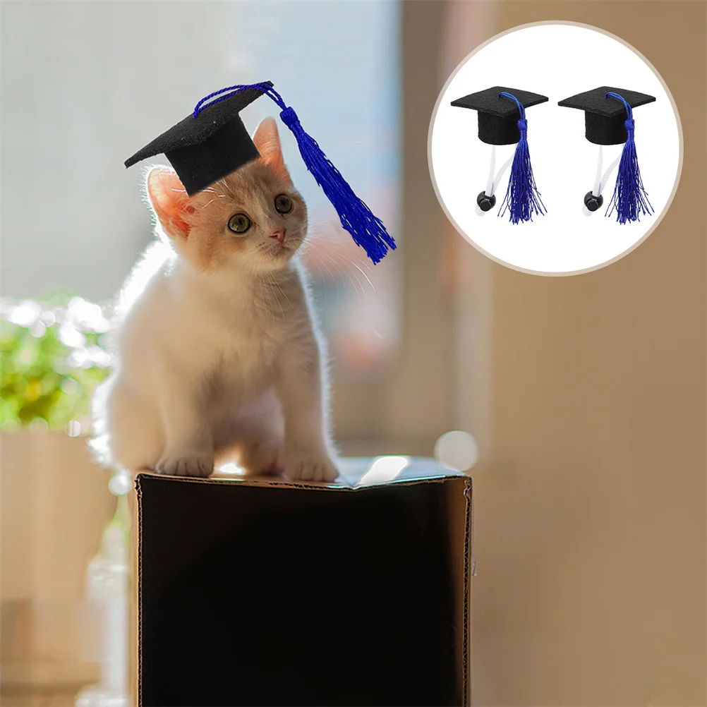 Graduation Dog Hat Cap Pet Cat Party Hats Mini Caps Puppy For Dr Small Bachelor Costumes Outfit Dogs Costume Doctoral Doctor