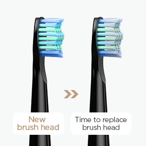 Fairywill Electric Sonic Toothbrush FW-D7 USB Charge Rechargeable Adult Waterproof Electronic Tooth Brushes Replacement Heads 8
