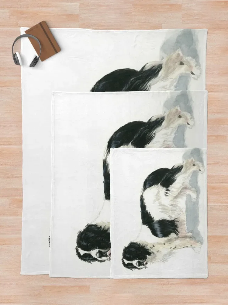 Landseer Newfoundland ������ ������ ���, ħ��� ��� ���, ũ�������� ����, ķ�� ���