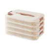 Multilayer Kitchen Food Grade Multilayer Dumpling Storage Box for Freezing and Fresh Keeping with Sealed Refrigerating Function 1