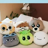 30cm Kpop Idol BOYNEXTDOOR BBNEXDO Face Cushion 1