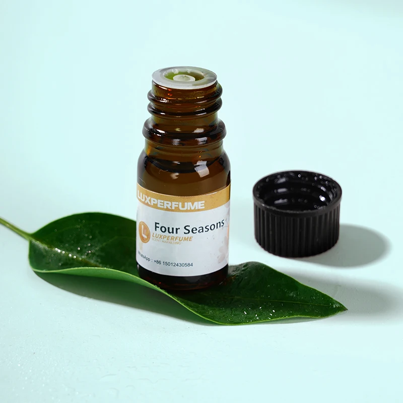 Air Purifier 5ML Essential Oil 10 Bottle Set Sample Suitable for Aroma Diffuser Humidifier Car Freshener Without Water Natural 5