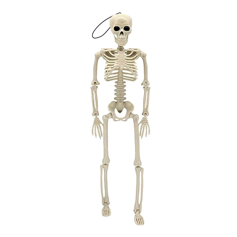 

Halloween Decoration Outdoor Indoor Skeleton Model Figurine Moveable Joint Skeleton Scary for Doll Haunted House Props Dropship