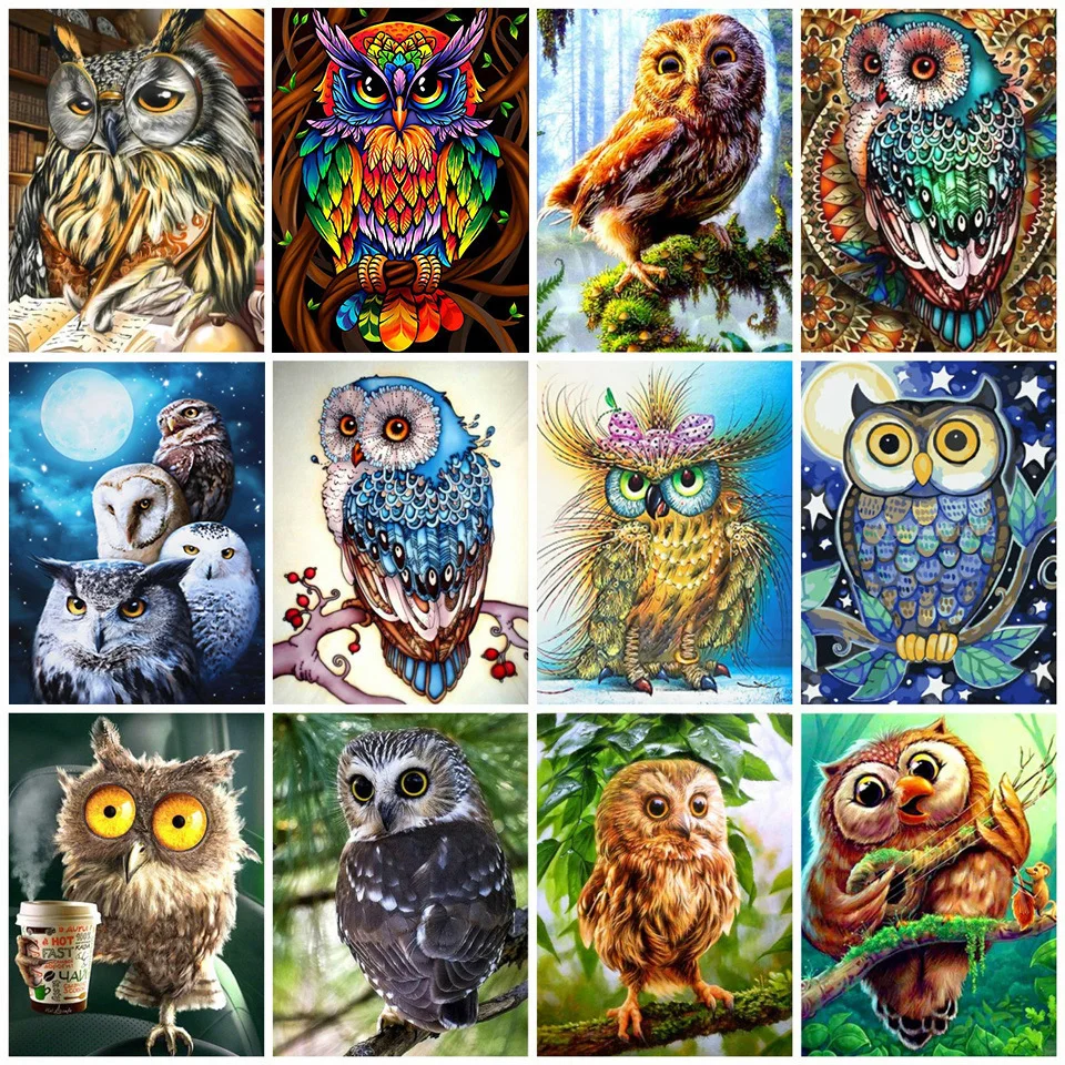 5D Diamond Painting owl Diamond Mosaic Painting Kits animals Full  Square/Round Drill Rhinestone Embroidery DIY Home Decor - AliExpress