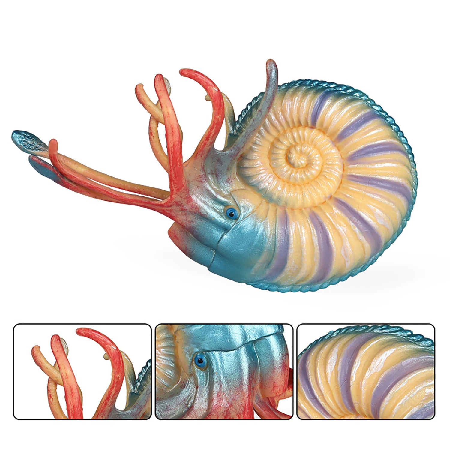 Marine animal model simulation toy Nautilus ornament children's toy figurine model early education 5