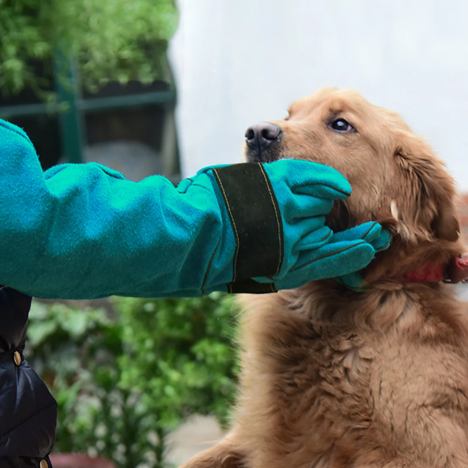 Animal Handling Gloves Durable Anti-Bite Leather Protective Gloves Thick And Durable Pet Feeding Protective For Small